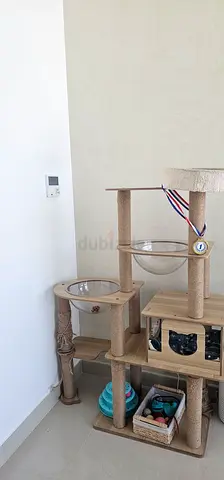 Used multi-level cat tree with condos, scratching posts and hanging toys. 200aed