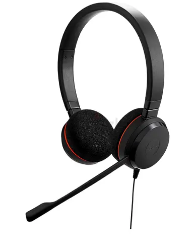 Jabra Evolve 20 Stereo Headset – with Passive Noise Cancellation – USB-C/A – Black