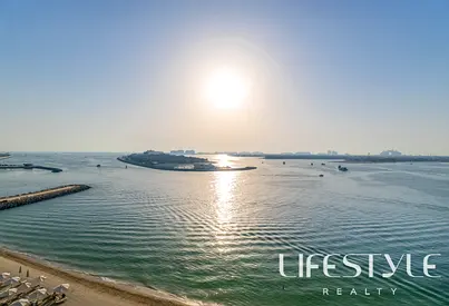 Corner Huge Plan / Full Palm