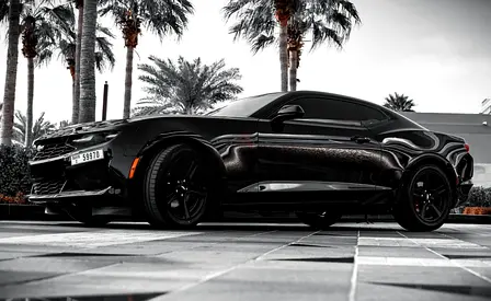 Tabby and Crypto Payment / Apple CarPlay / zero deposit