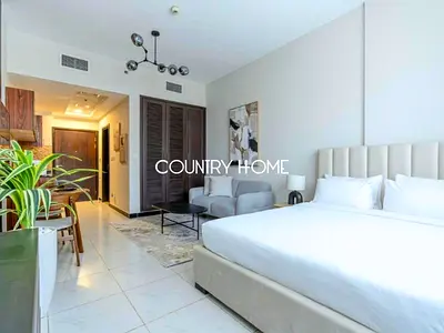 Fully Furnished and Upgraded | No Balcony | Vacant
