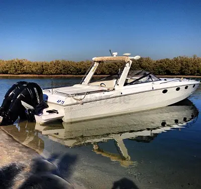 39ft Chris Craft Stinger | Mercury 300HP
