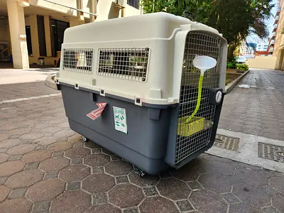 Dogs carriers for air travel Giant size