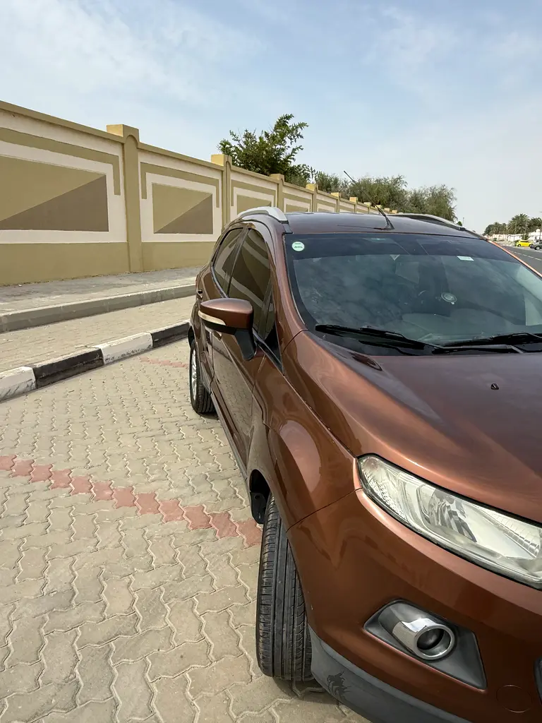 Ford Ecosport 2017 — photo 1 of 8