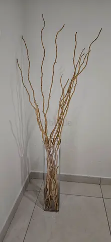 Tall Decorative Dried Branches in Glass Vase - Neutral Accent Piece