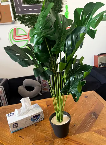 Artificial Small Monstera/Philodendron — 60 cm height