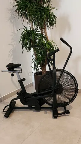 Assault Air Bike
