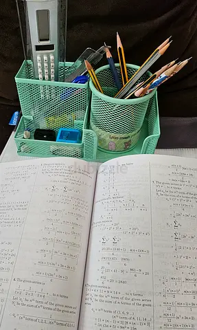 Engineering Mathematics Tutor