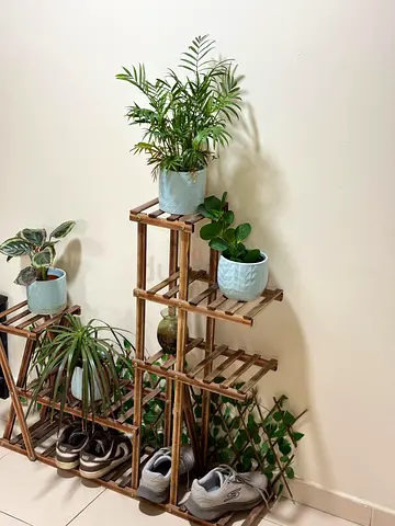 Solid Wood Multi-Tier Plant with plants  Shoe Rack - 4-Tier Display Stand