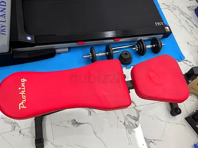Adjustable Red Workout Bench with Dumbbells and Plates - Home Gym Set
