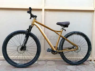 29 size sunpeed bicycle