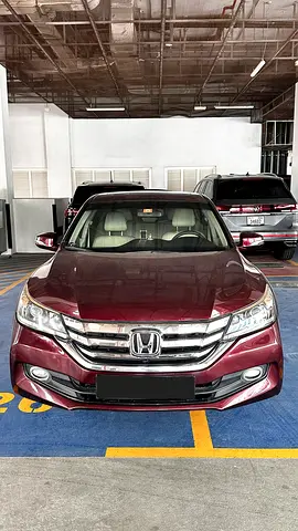 Honda Accord Burgundy