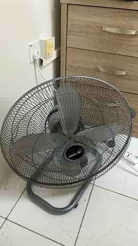 Fan