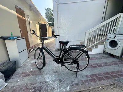 Japanese bike