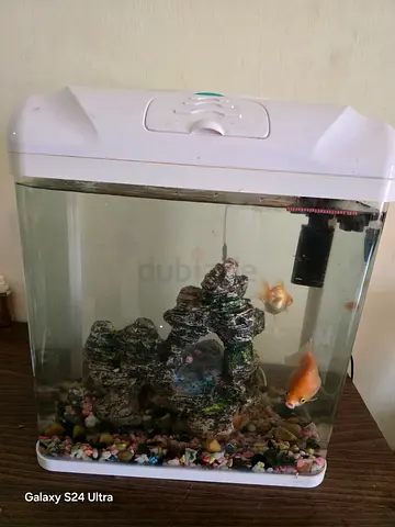 White Aquarium Tank with Filter, Decorative Rock and two Fish