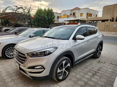 No accident original paint