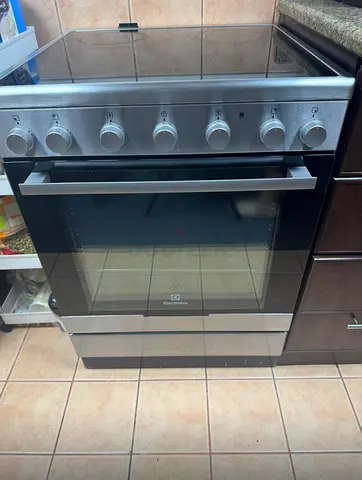 Electric oven