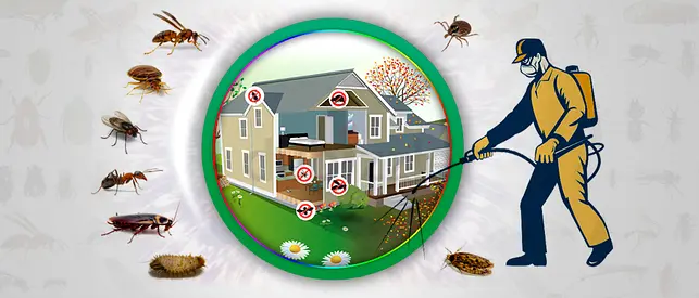 Home  Villa Pest Control Dubai | Safe Chemicals