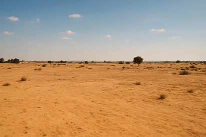 Large Mixed-Use Land Parcel – Argoub, Sharjah