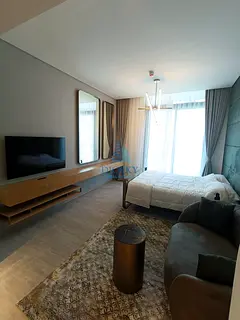 Fully Furnished | Luxury Studio | Ready to Move