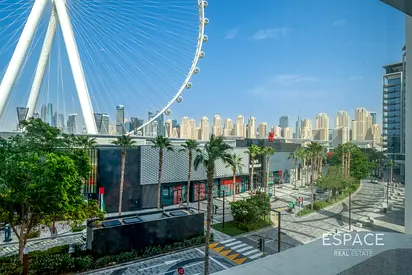 Fully Upgraded | Vacant | Dubai Ain View