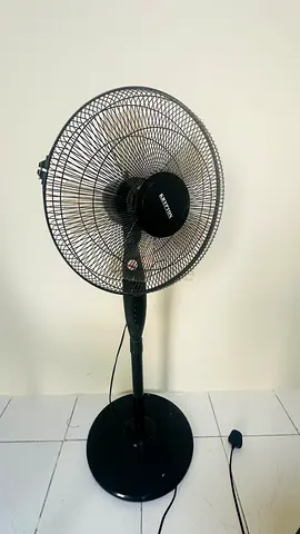 Fan
