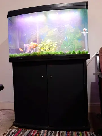Aquarium with Stand, Lighting  all accesoories