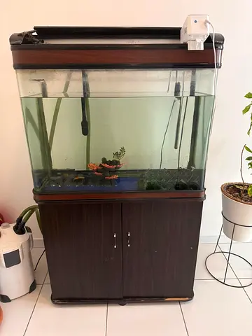 Curved Glass Aquarium with Accessory