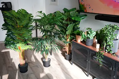 +++ 8 Premium Artificial Plant Collection | Realistic Design | Including Pots +++