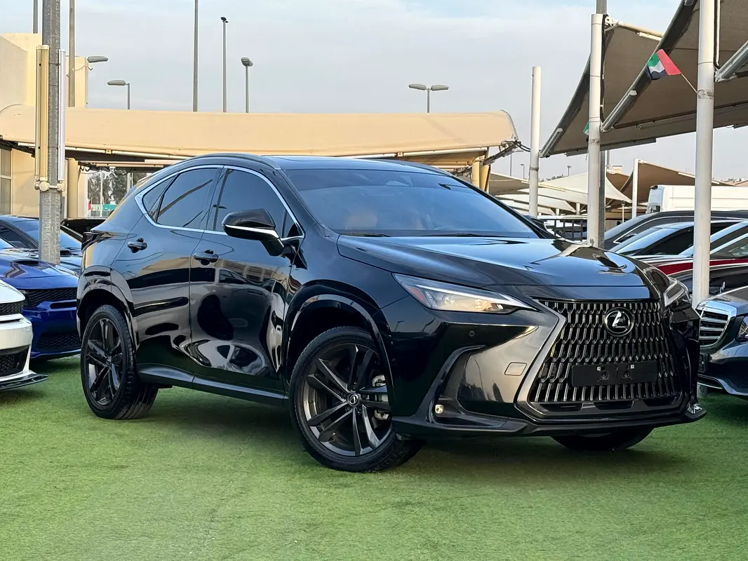 Lexus NX-Series 2024 — photo 1 of 16