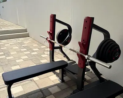Chest Press and Back extensor