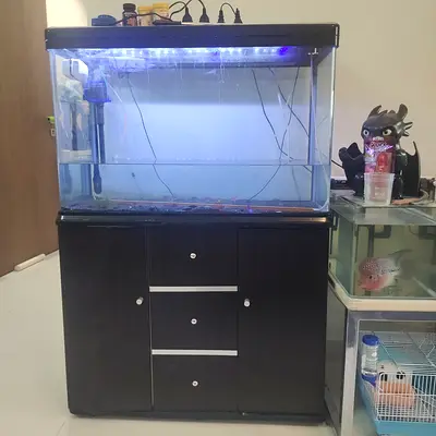Fish Aquarium Tank with Cabinet 35x50x80