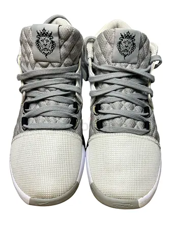 Nike LeBron 2 Beast Special Edition Size 41 - Excellent Condition.  “*SOLD*”