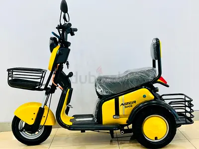 Electric trike mobility scooter 48 v for 2 passengers