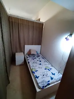 Available partition for single lady