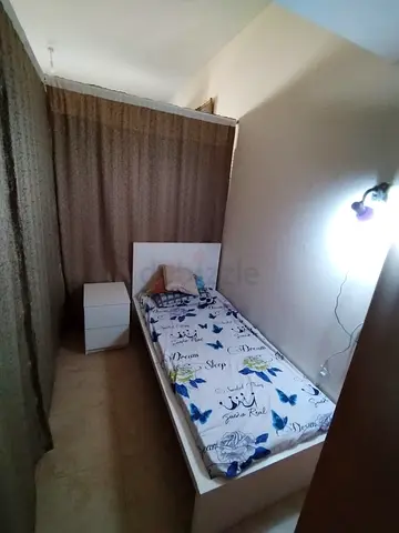 Available partition for single lady