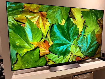 LG OLED evo C4 4K TV 65 inch