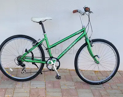 Green Ladies/Unisex Hybrid City Bike - 7-Speed, Used