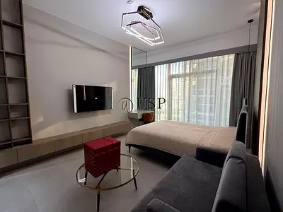 Brand New | Luxurious | High Ceilings | Furnished