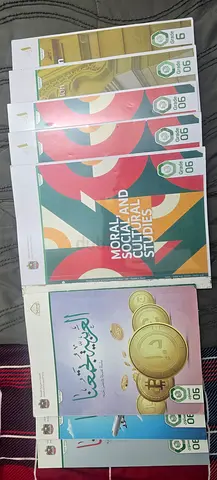 Grade 6 MOE books