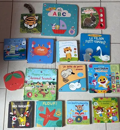 French and English books kids