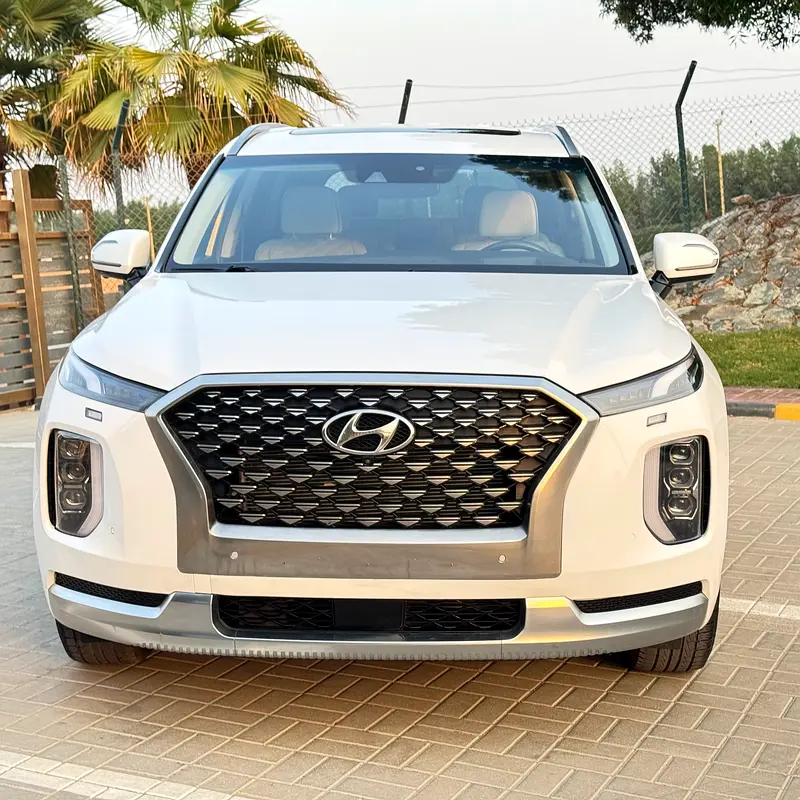 Hyundai Palisade 2020 — photo 1 of 20