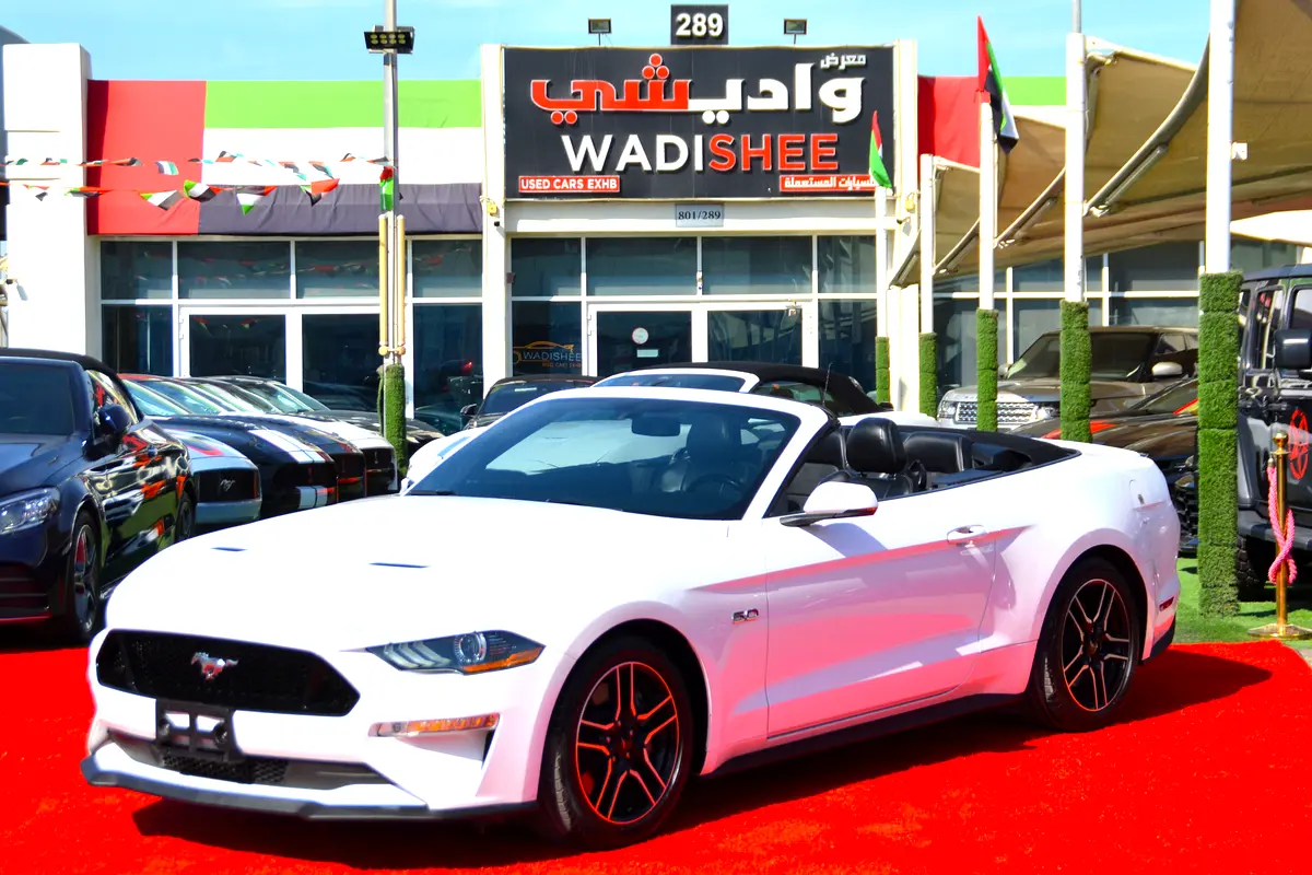 Ford Mustang 2019 — photo 1 of 20