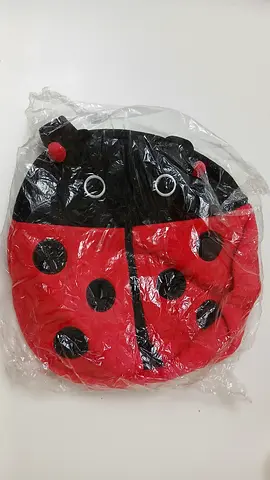 Big Ladybug Bag For Kids - Sealed