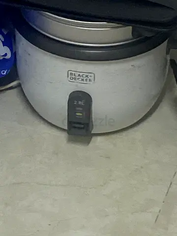 Rice cooker