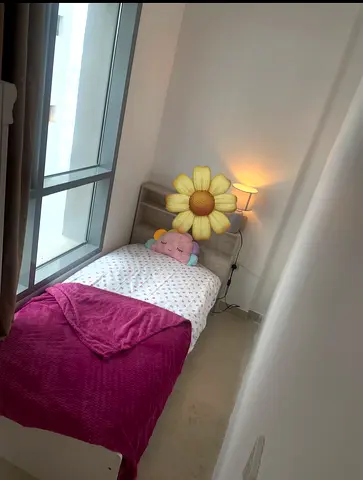 Executive room with partition single lady near MOE