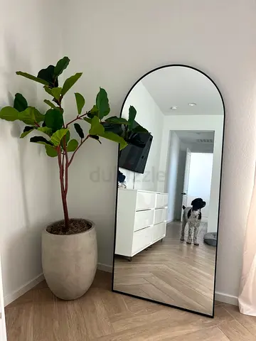Large Arched Full-Length Black Frame Mirror