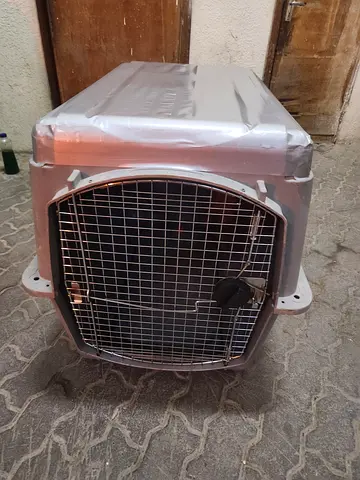 Dogs carriers for air travel extra large