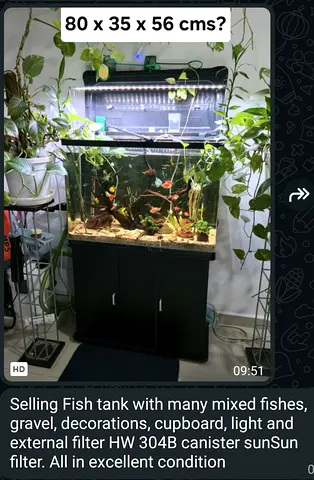 80 x 35 x 56 cm Fish Tank with Stand, Light, Canister Filter  Decorations