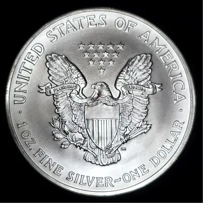 1 Oz American Eagle Silver Coin